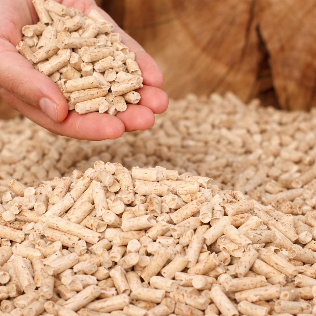 Wood Pellet
